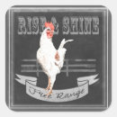 Search for free range stickers Rooster