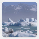 Search for iceberg stickers Environment