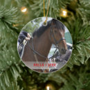 Search for horse christmas decor Cute