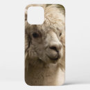 Search for vienna iphone cases Wien