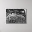 Search for boar canvas prints Pig