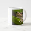 Search for large frog mugs Forest