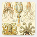 Search for vintage octopus stickers Squid