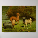 Search for vintage yorkshire posters Dog