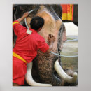 Search for elephant posters Asian