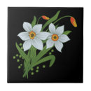 Search for daffodil tiles Jonquil