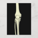 Search for joint postcards Digitally generated image