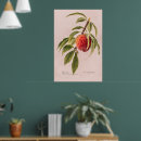 Search for twigs posters Branch