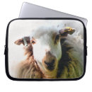 Search for sheep cases Farms
