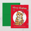 Search for christmas kitten postcards Kitty