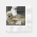 Search for feather napkins Animals