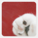 Search for body image stickers Domestic cat