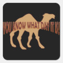 Search for hump stickers Hump day camel