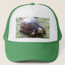 Search for cute turtle hats Adorable