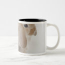Search for holland lop mugs Cute