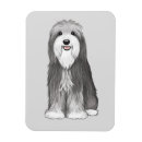 Search for fun rectangular magnets Cute