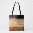 Search for space probe bags Heat shields
