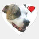 Search for american pitbull stickers Terrier