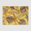 Search for sunflower decoupage tissue paper Brown