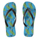 Search for parrot shoes Beach