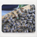 Search for bee keeper electronics Bees