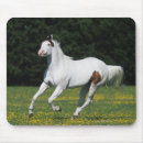 Search for grassy mousepads Running