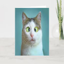 Search for cat hanukkah cards Funny