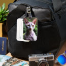 Search for hairless accessories Kitty