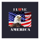 Search for american bald eagle art United states of america