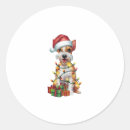 Search for silky stickers Animal