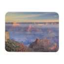 Search for jamie magnets Arid