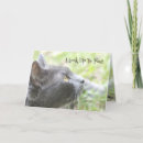 Search for sibling cards Cat