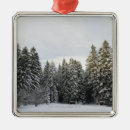 Search for black forest christmas tree decorations Outdoors