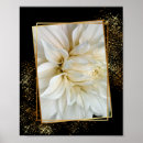 Search for black dahlia posters Flowers