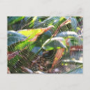 Search for spiderweb postcards Leaves