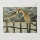 Search for eagle feather postcards Hawk