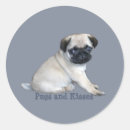 Search for pug mom stickers Puppy