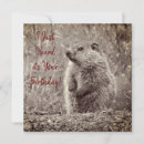 Search for masculine birthday cards Cute