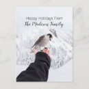 Search for bird christmas cards Modern
