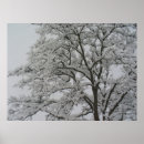 Search for black oak tree art Winter