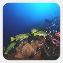 Search for nautical photo stickers Sailboat