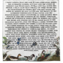 Search for prayer shower curtains Bible