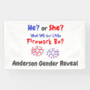 Search for firework banners July
