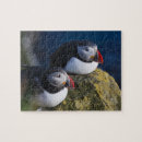 Search for puffin puzzles Atlantic