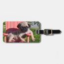 Search for enjoyment accessories Fun