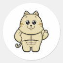 Search for packs stickers Women