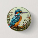 Search for kingfish badges Bird