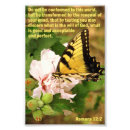 Search for romans 12 2 Butterfly
