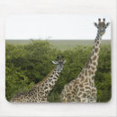 Search for explorers mousepads Africa