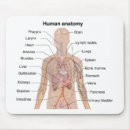 Search for human anatomy mousepads Body